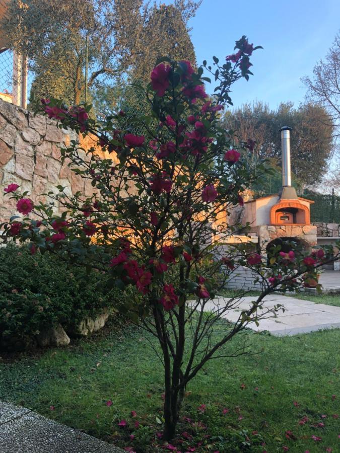 B&B Damiano Crespano del Grappa ภายนอก รูปภาพ