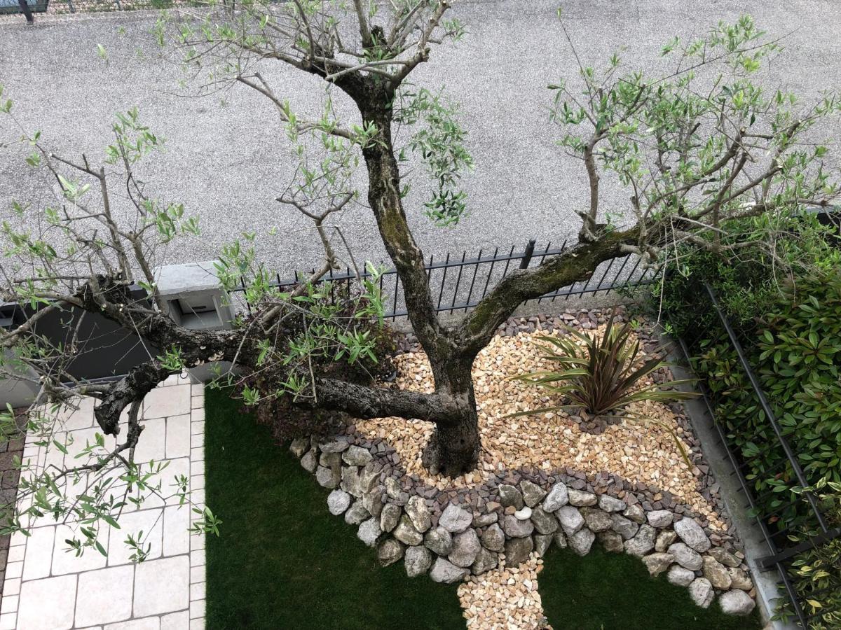 B&B Damiano Crespano del Grappa ภายนอก รูปภาพ
